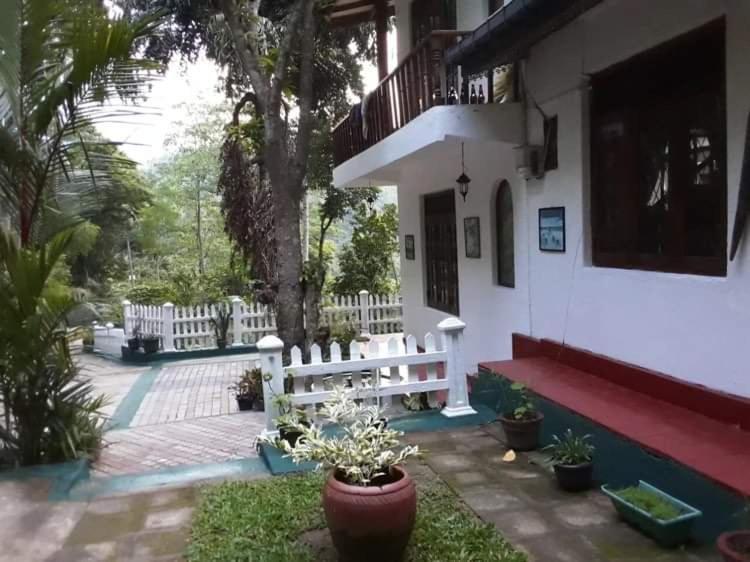 Villa25 Homestay Free Pick Up From The Centre Kandy Exteriér fotografie