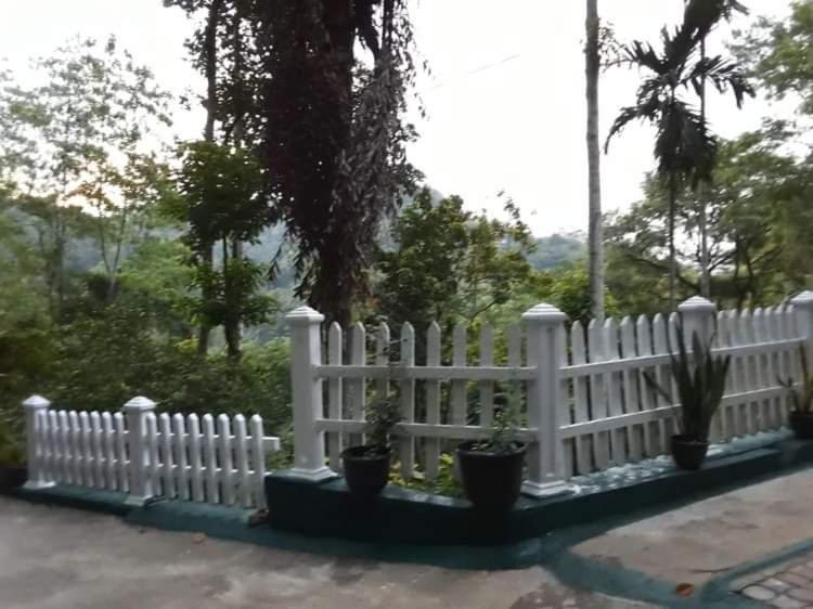 Villa25 Homestay Free Pick Up From The Centre Kandy Exteriér fotografie